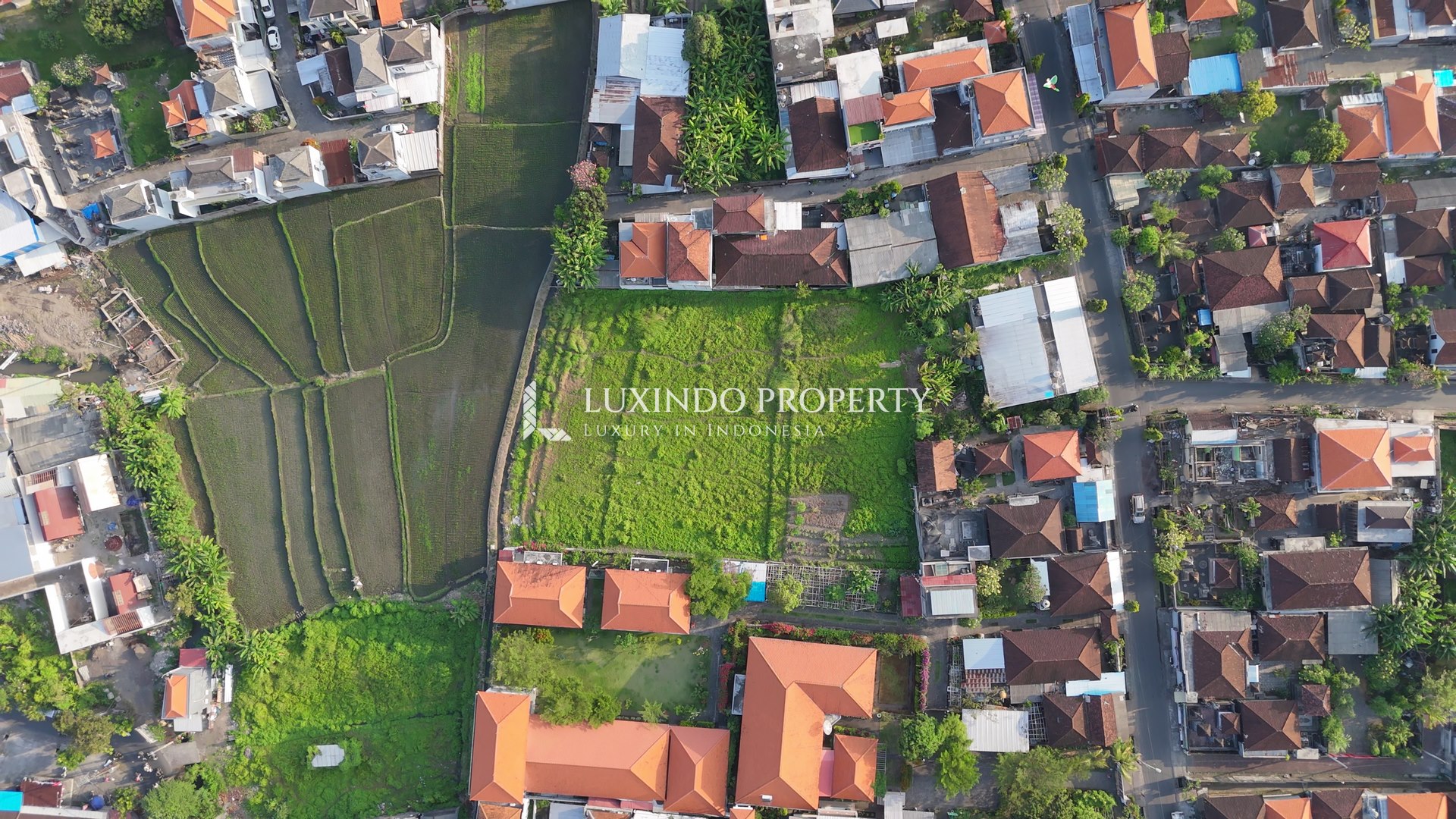 CANGGU - 2,000M2 LEASEHOLD LAND IN BABAKAN WITH RICE FIELD VIEW (LHL301)